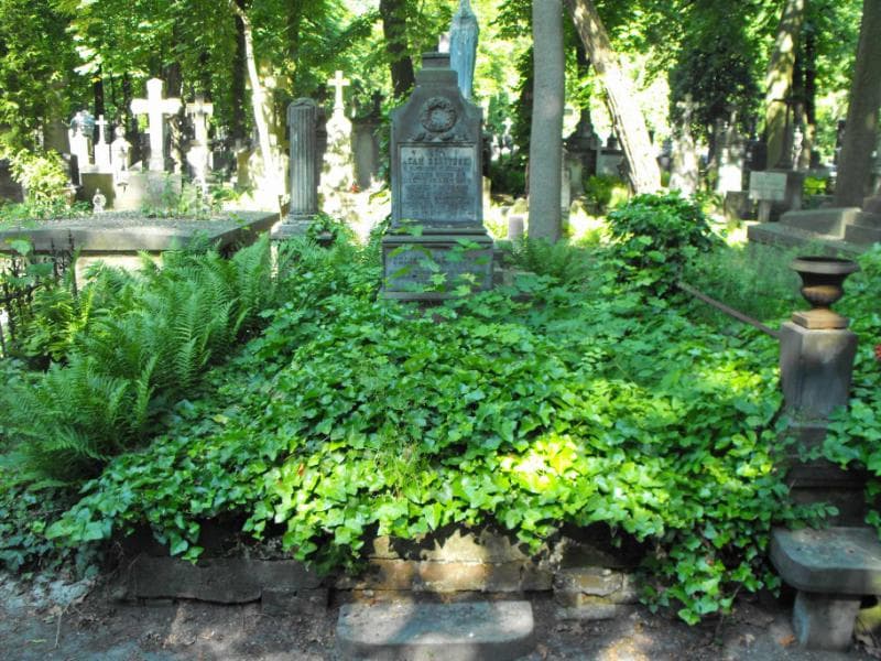Zdjęcie grobu: Hipolit Makowiecki