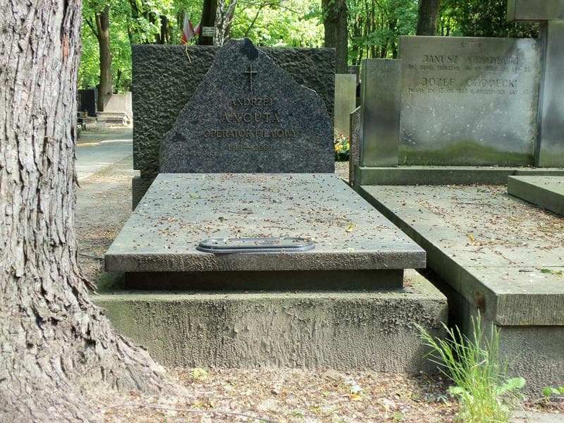 Zdjęcie grobu: Maria Cywińska
