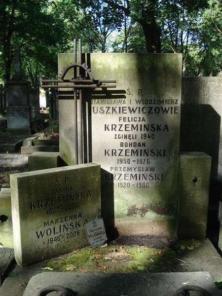 Zdjęcie grobu Przemysław Krzemiński (2)