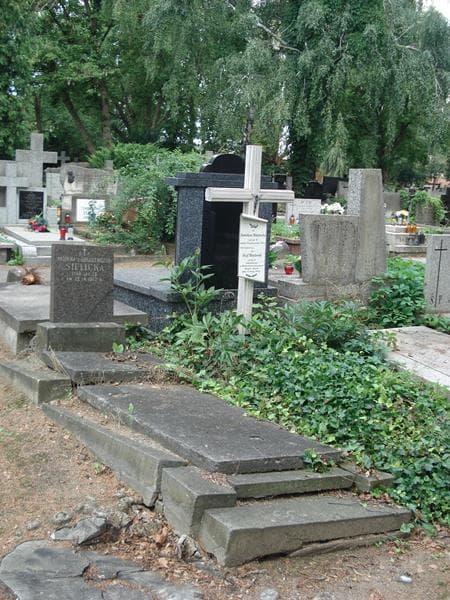 Zdjęcie grobu Antonina Sielicka (1)