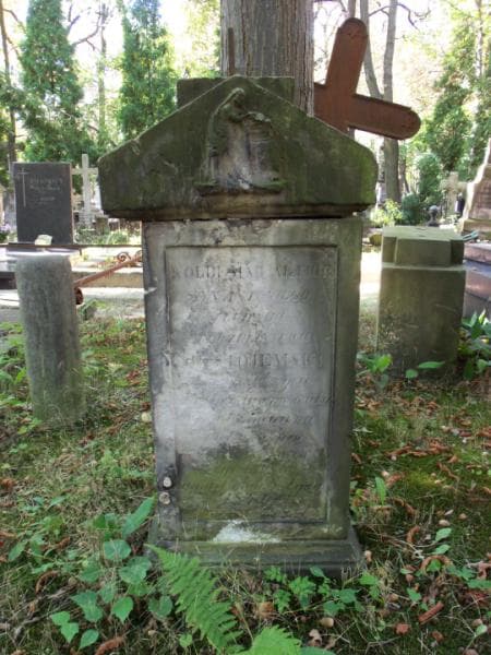 Zdjęcie grobu Woldemar Artiur Niestojemski (2)