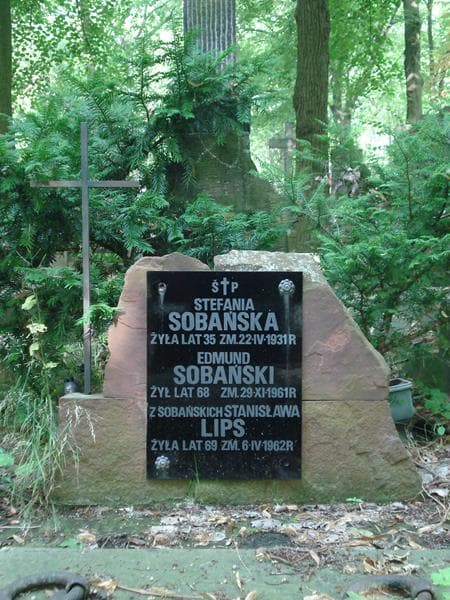 Zdjęcie grobu Stanisława Lips (2)