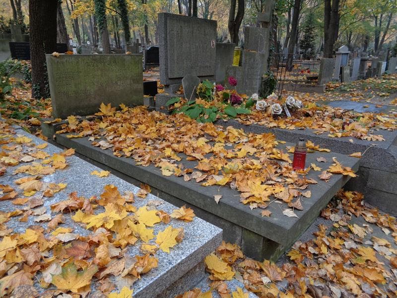 Zdjęcie grobu: Piotr Gzowski