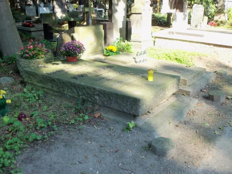 Zdjęcie grobu Krystyna Krych (1)