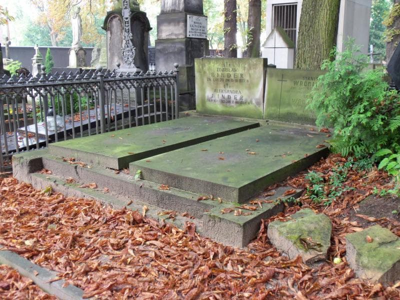 Zdjęcie grobu Stanisław Wróblewski (1)