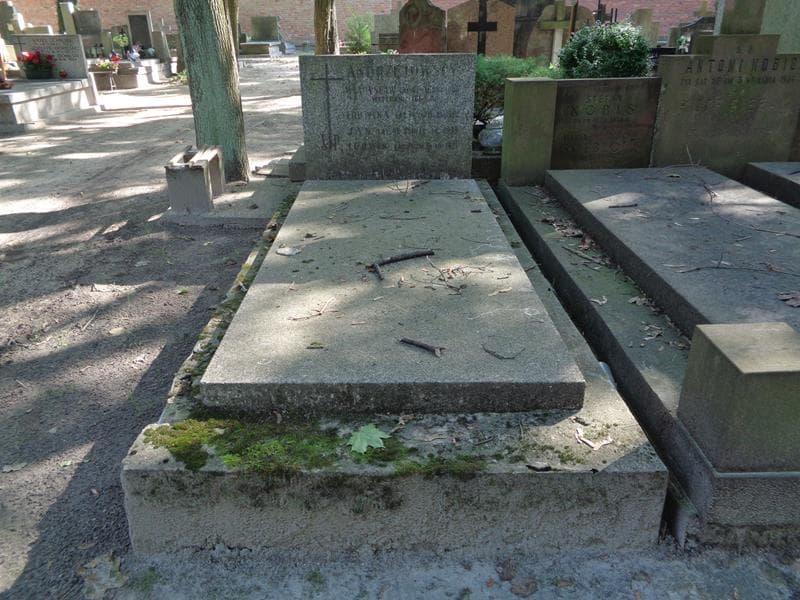 Zdjęcie grobu Ludwik Andrzejowski (1)