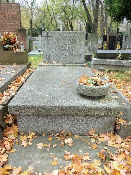 Zdjęcie grobu: Tadeusz Chrzanowski