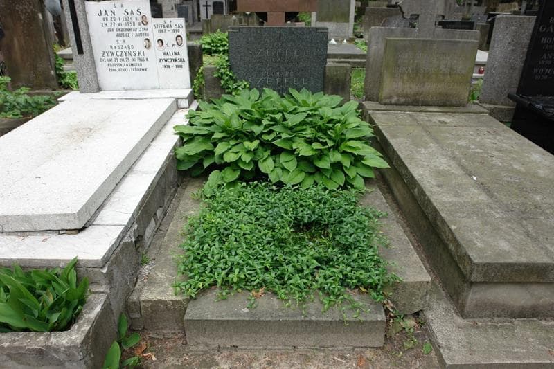 Zdjęcie grobu Leonard Szeffel (1)