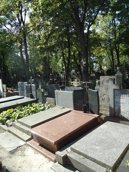 Zdjęcie grobu Edward Malinowski (1)