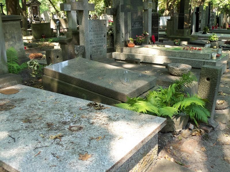 Zdjęcie grobu Antoni Chmieleński (2)