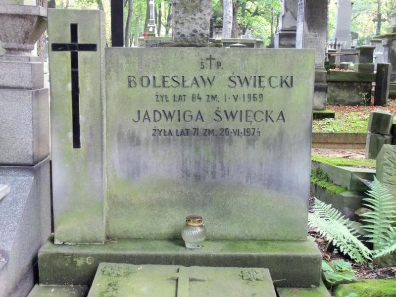 Zdjęcie grobu Jan Władysław Leszczyc-Święcki (2)