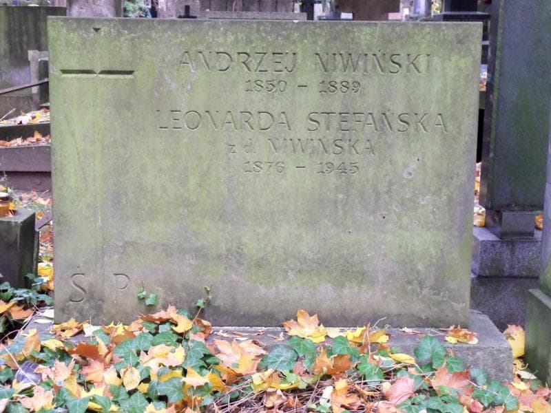 Zdjęcie grobu Andrzej Niwiński (1)