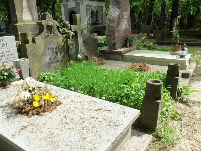 Zdjęcie grobu Edmund Szczuka (1)