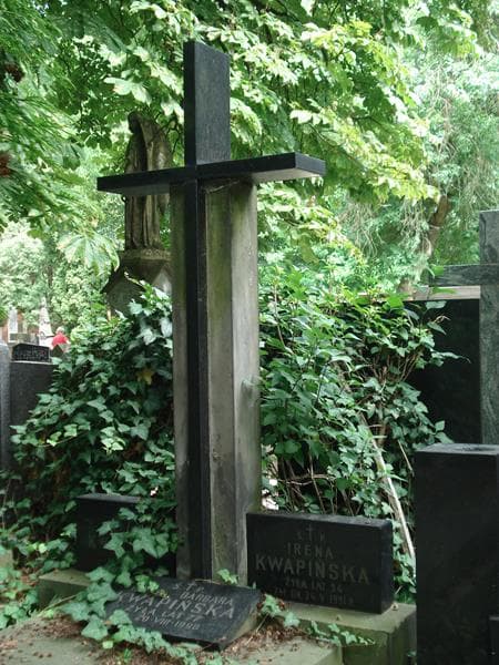 Zdjęcie grobu Adam Kwapiński (1)