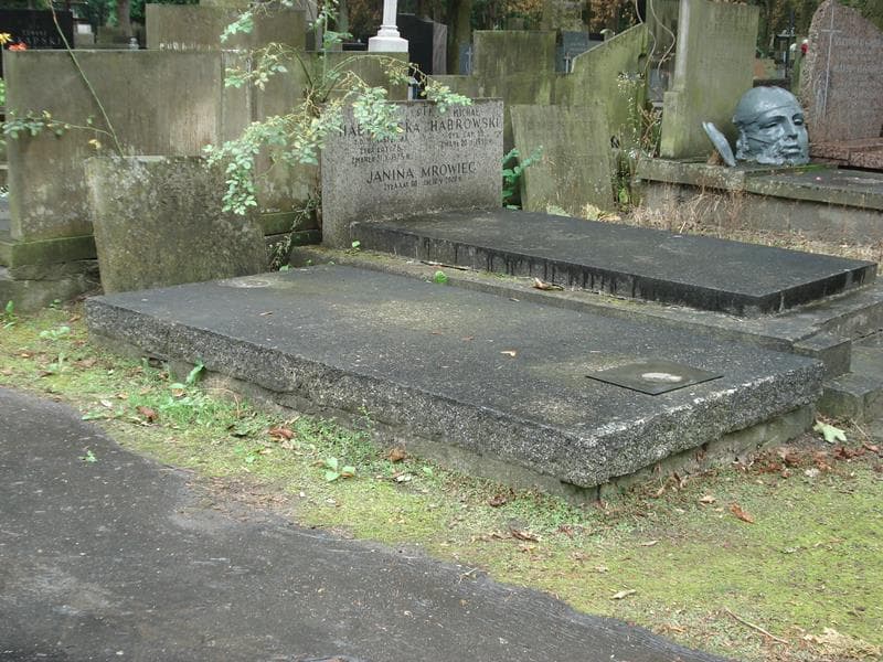 Zdjęcie grobu Mieczysław Januszkiewicz (1)