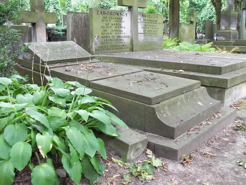 Zdjęcie grobu Franciszek Hammer (1)