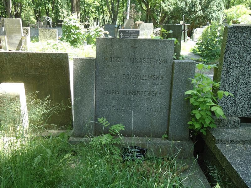 Zdjęcie grobu Dyonizy Domaszewski (2)