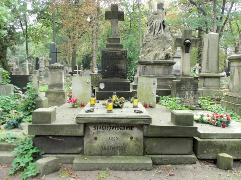 Zdjęcie grobu: Stanisław Bartnicki