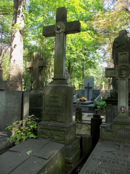 Zdjęcie grobu Elijasz Osiński (2)