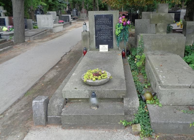 Zdjęcie grobu Aleksander Zawadzki (1)