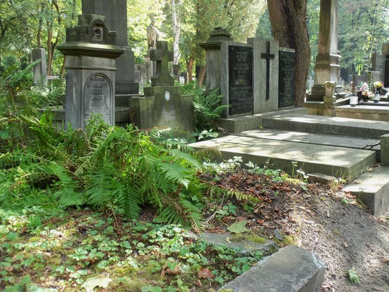 Zdjęcie grobu Walenty Rudzki (1)