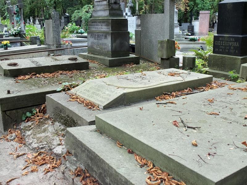 Zdjęcie grobu Anna Wanda Jeżowska (2)