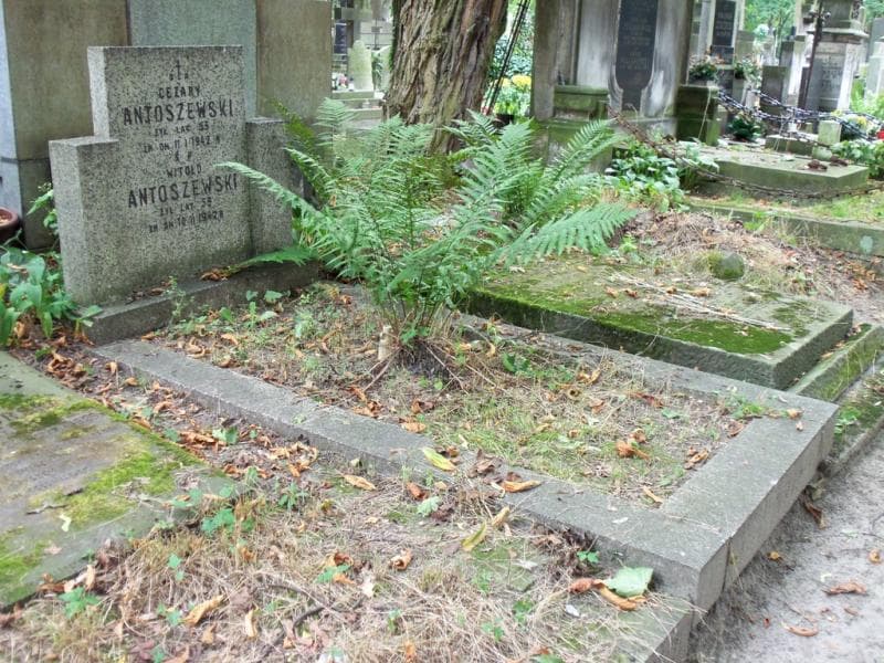 Zdjęcie grobu Witold Antoszewski (1)