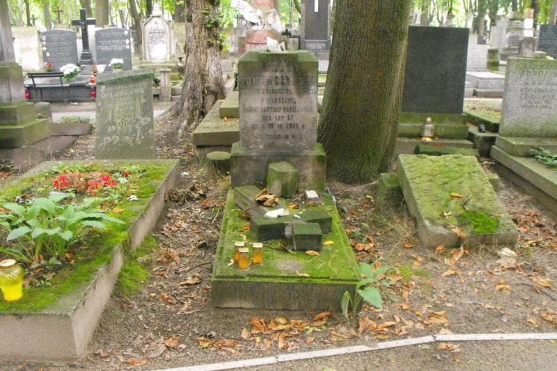 Zdjęcie grobu: Ludwik Ponewczyński