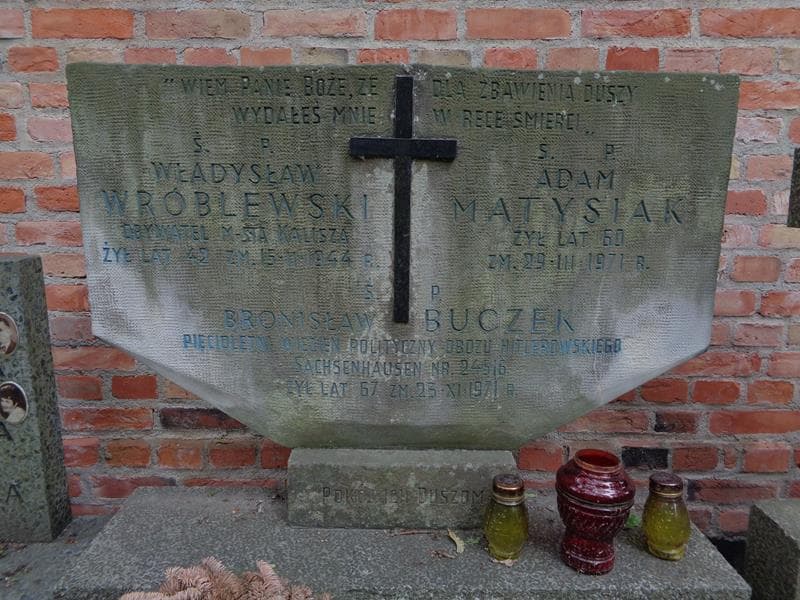 Zdjęcie grobu Bronisław Buczek (2)