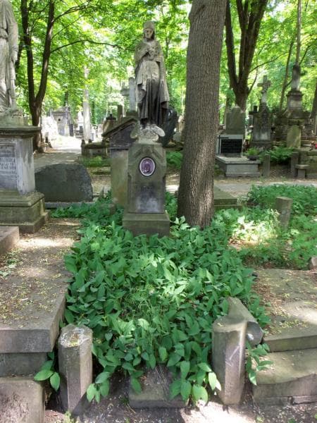 Zdjęcie grobu: Emilja Baczyńska