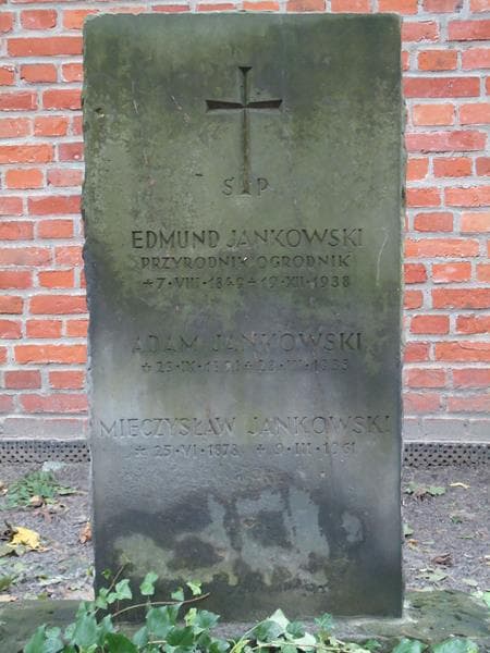 Zdjęcie grobu Edmund Jankowski (2)