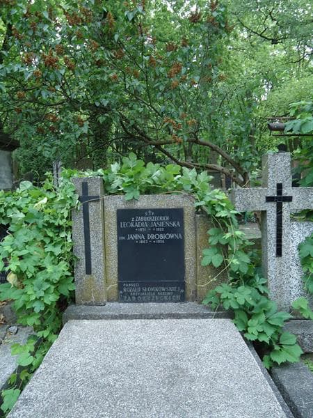 Zdjęcie grobu Janina Drobiówna (2)