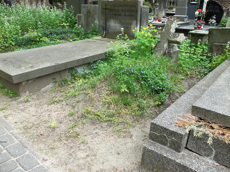 Zdjęcie grobu Józef Leśniewski (1)