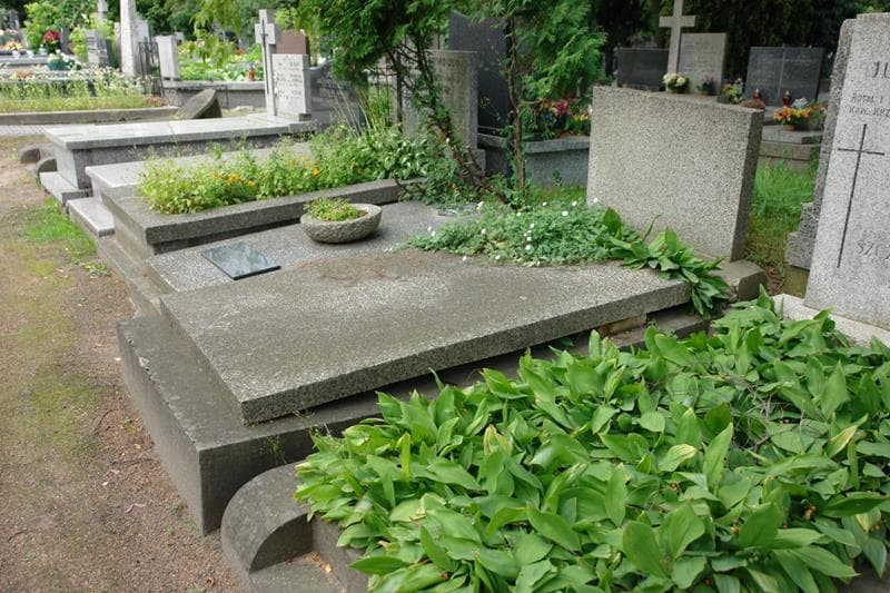 Zdjęcie grobu: Bronisław Lambach