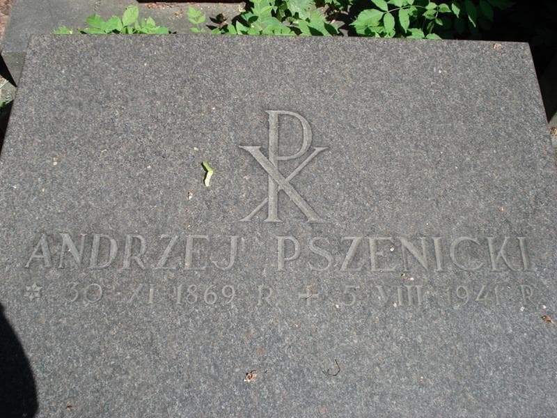 Zdjęcie grobu Anna Pszenicka (2)