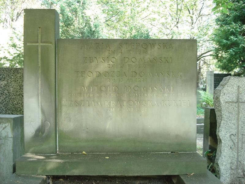 Zdjęcie grobu Witold Domański (2)