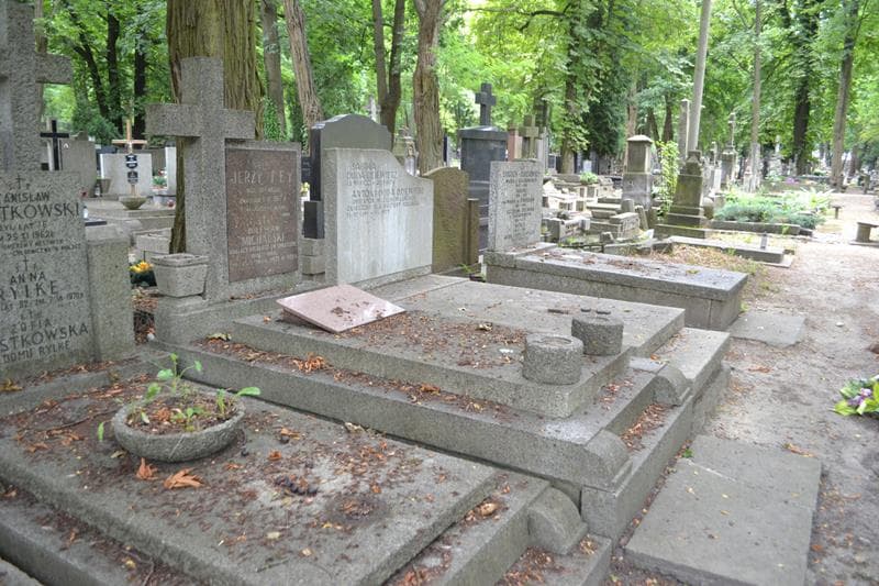 Zdjęcie grobu: Bolesław Michalski