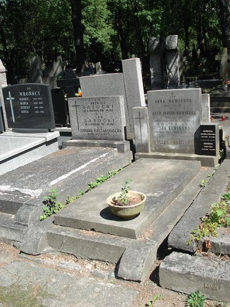 Zdjęcie grobu Jan Nowiński (1)