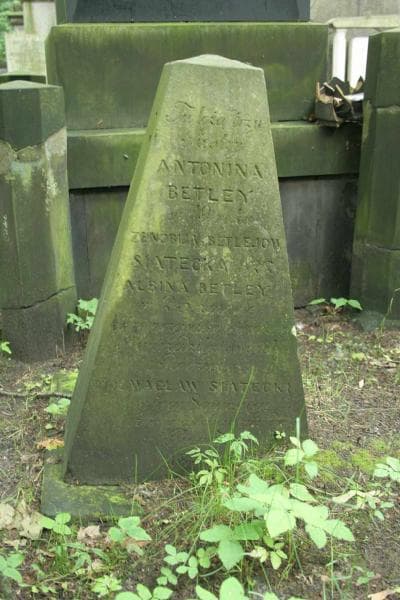Zdjęcie grobu Antonina Betley (1)