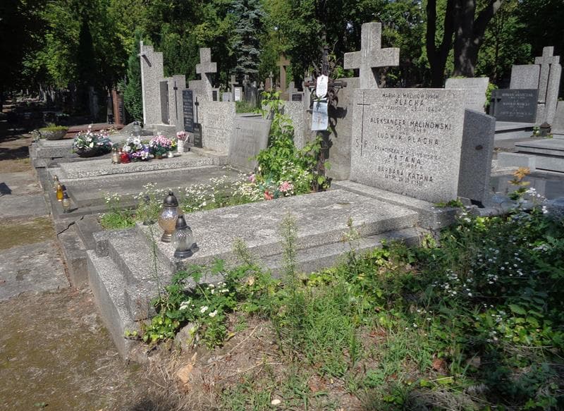 Zdjęcie grobu: Aleksander Malinowski
