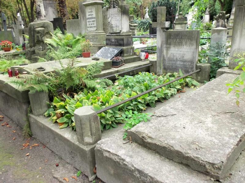 Zdjęcie grobu Ludwik Lebiedziński (1)