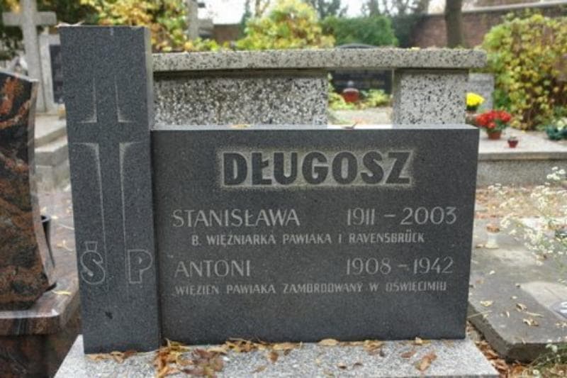 Zdjęcie grobu Antoni Długosz (2)