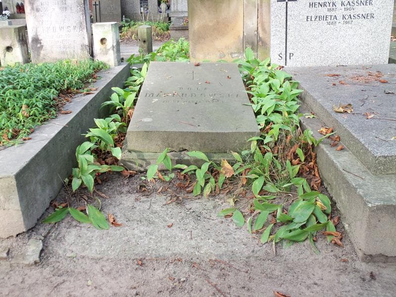 Zdjęcie grobu: Pola Marendowska