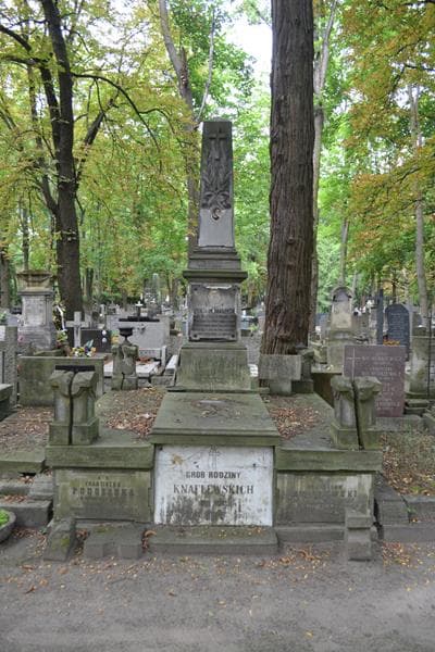 Zdjęcie grobu Bronisław Knaflewski (1)