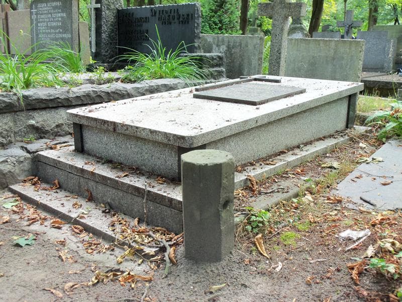 Zdjęcie grobu Mieczysław Bibrowski (2)