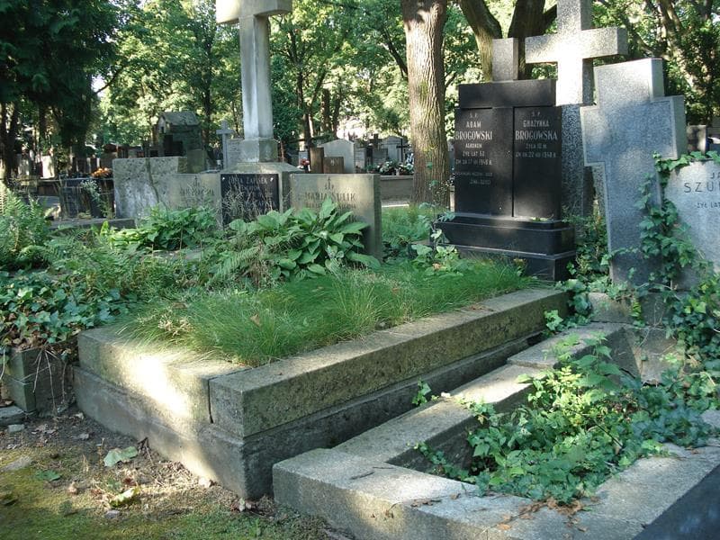 Zdjęcie grobu Adam Brogowski (1)