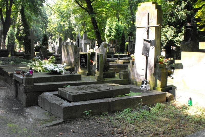 Zdjęcie grobu Alfons Alexandrowicz (1)