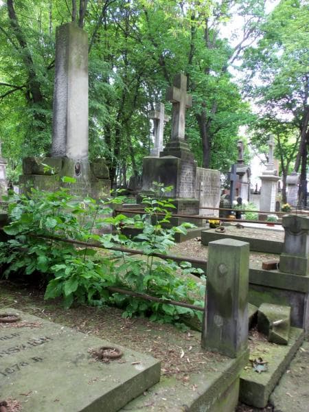 Zdjęcie grobu Marja Kwasieborska (1)