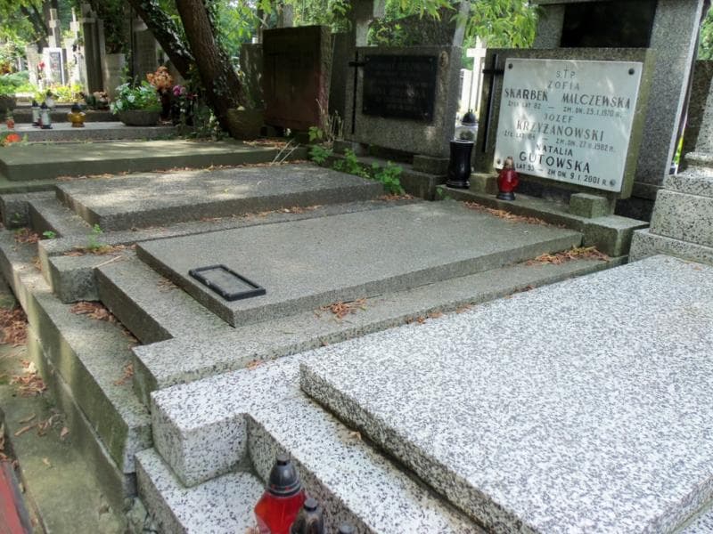 Zdjęcie grobu: Józef Krzyżanowski