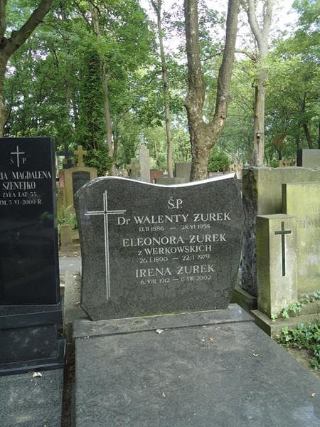 Zdjęcie grobu Irena Żurek (2)
